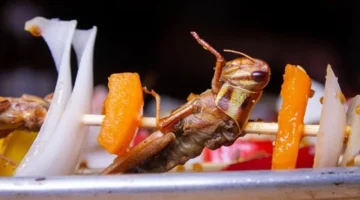 حشرات مفاجئة.. مدير الفرع يُستدعى للتحقيق في محل حلويات شهير بعد الشكوى.